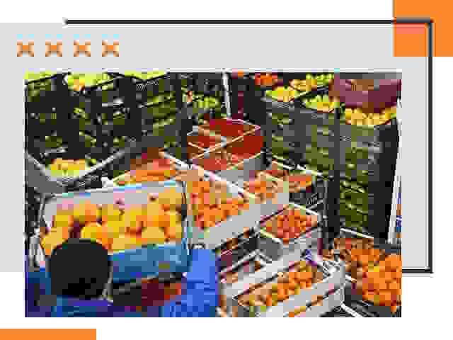 Перевозка скоропортящихся продуктов в Горно-Алтайске